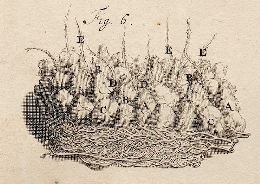 Conference Poster
